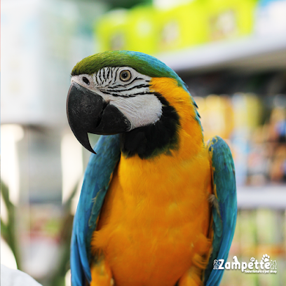 Zampette toelettatura e petshop