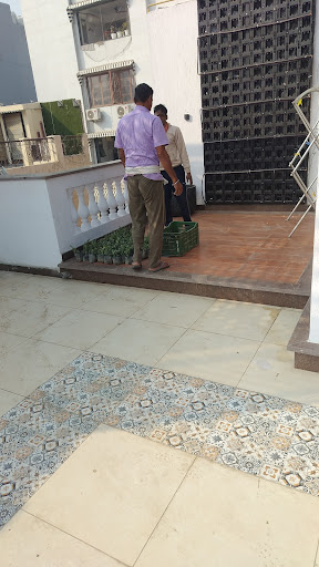 We provide professional Natural Vertical Garden design and installation services for homes, offic… post image