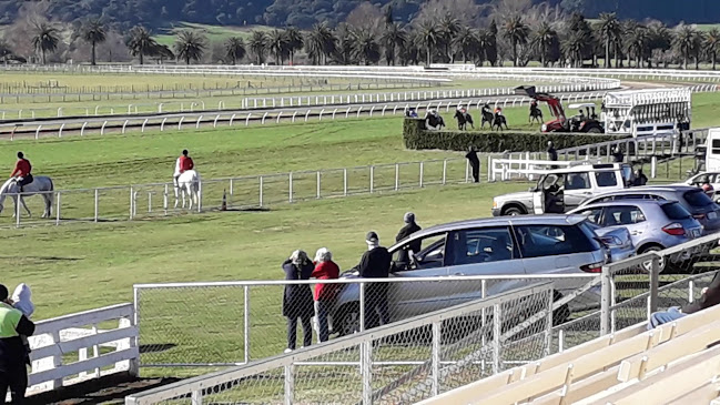 Comments and reviews of Racing Te Aroha