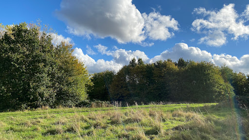 Stokeswood Park