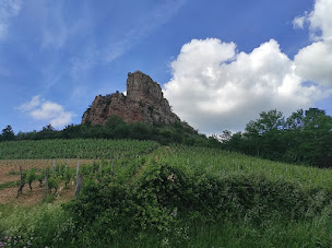 Photo n°65 de La Source des Fées à Fuissé (Chambre d'hôtes)