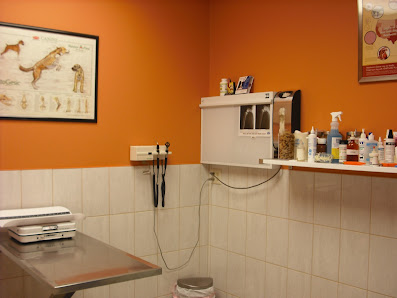Photo of Chicago Pet Clinic Del propietario