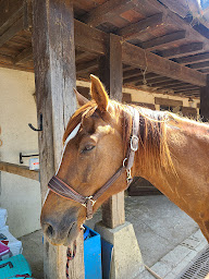 Photo n°12 de Les Eco-gîtes du Château de Saulgé l'hôpital. Laurine et Michaël RINGENBACH à Brissac Loire Aubance (Gîte)