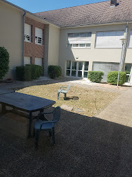 Photo n°18 de Artisan Michelet à Joigny (Service d'élagage)