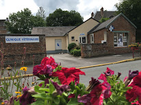 Clinique Vétérinaire du Bois Joli à Marle