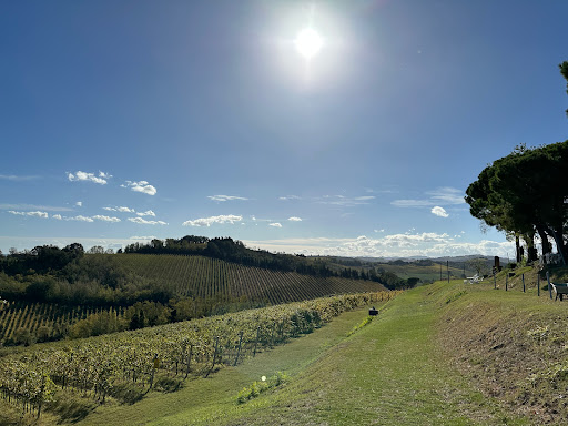 Cantina San Biagio Vecchio - Vino e Farina - Thumbnail