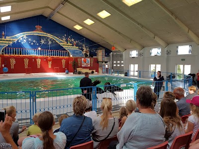 Photos of Cirkusland