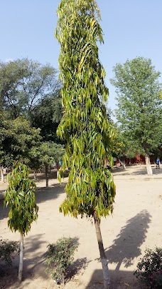 Govt High School Chak Sada gujrat