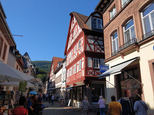 Cecil Store Steinwinter - Visual