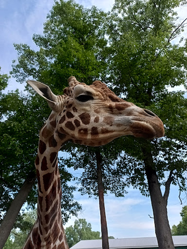 Indian Creek Zoo