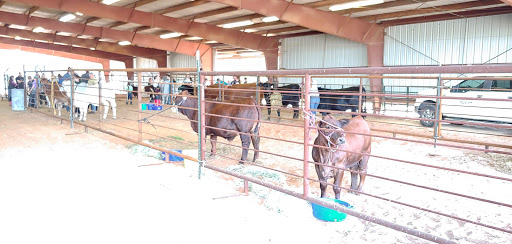 Cherokee County Exposition Center - Thumbnail
