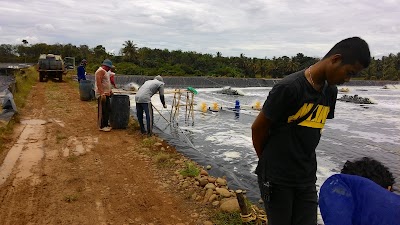 Photos of Kimberly Borneo Resource
