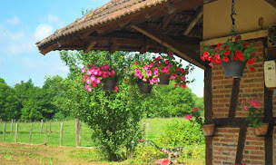 Photo n°2 de Earl du Bas de l'étang à Cosges (Ferme d'élevage)