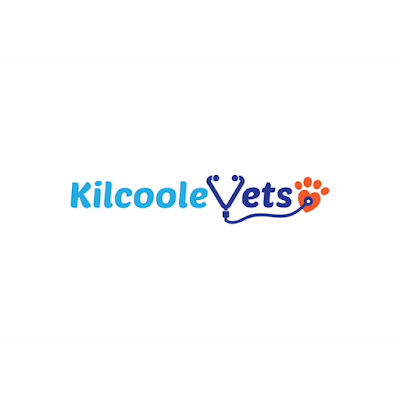 Photos of Kilcoole Vets