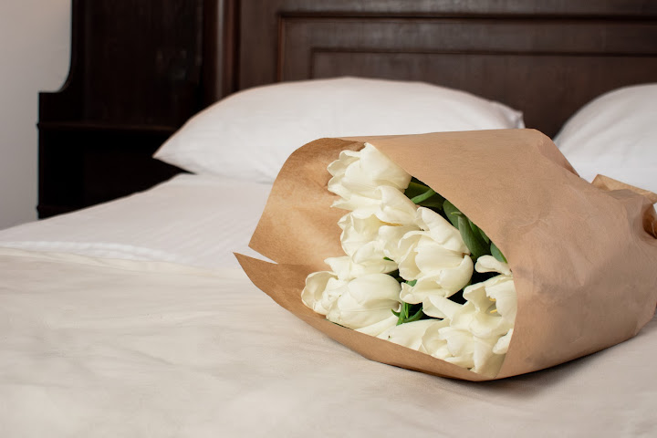 Dwór Polski Hotel by null