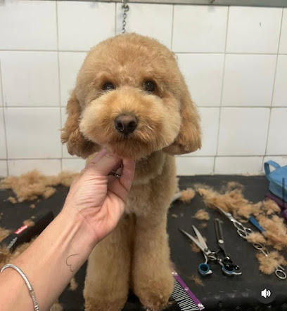 L'Arca Di Noe' di Ginevra Malvolti