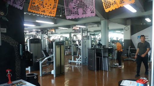 Anytime Fitness Providencia Gallery - Mexico