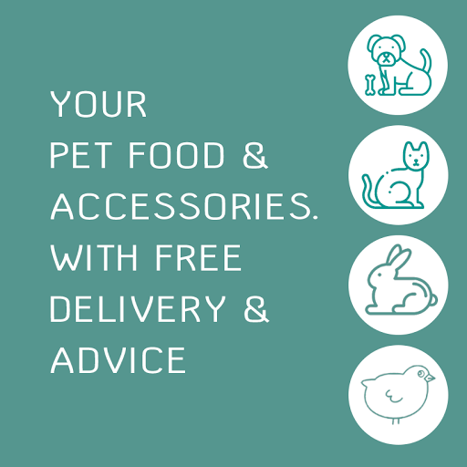 Pet Go - Visual