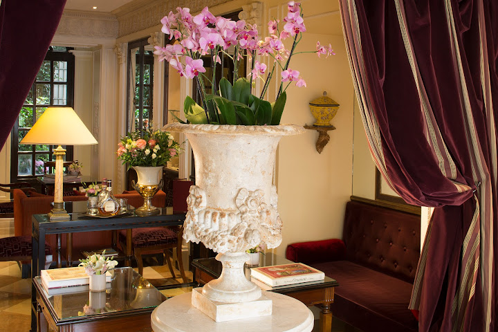 Hôtel des Grands Hommes by null