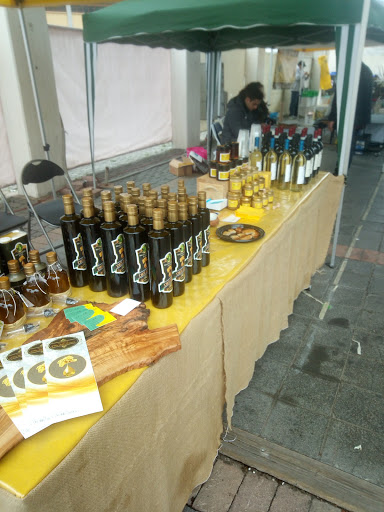 Foro Boario - Visual