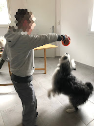 Photo n°4 de Centre de Formations à distance - Gaïa FMA 84 à Orange (Coaching professionnel)