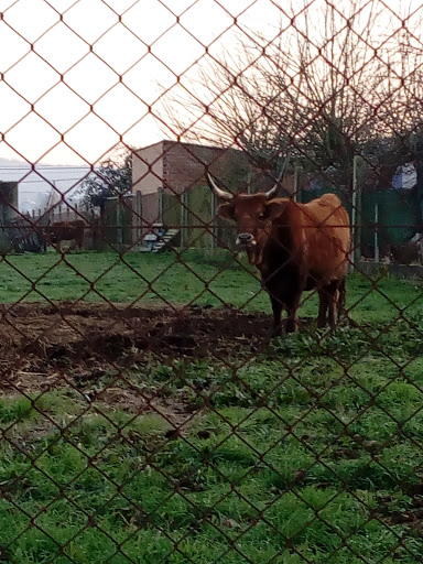 Camiño das Bestas, 1