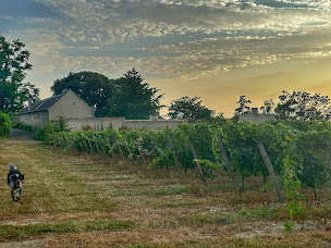 Photo n°10 de La Grande Maison d'Arthenay à Arthenay (Vignoble)