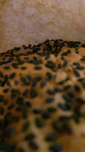 Opinii despre Giga Buła Posnania în Wilda - Restauracja