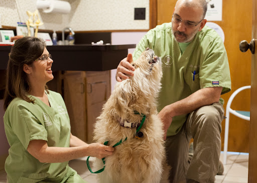 Salt River Veterinary Clinic Logo