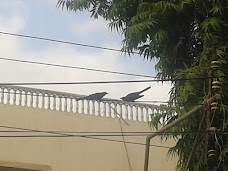 Hyderabad Colony Bus Stop karachi