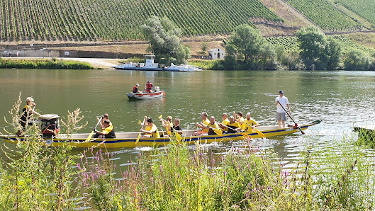 SG Zell-Bullay/Alf e. V. Brandenburg 4, 56856 Zell (Mosel), Deutschland