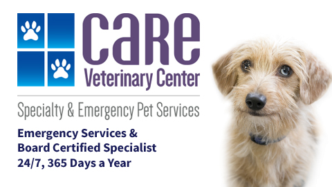 Care Veterinary Center A Thrive Pet Healthcare Partner