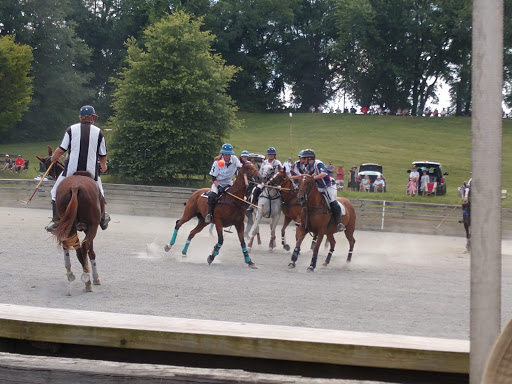 Maryland Polo Club-Elkridge Harford Arena - Thumbnail