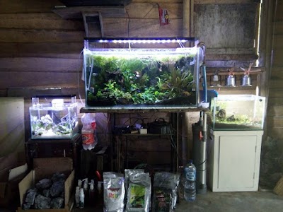 Photos of Pendowo Aquarium