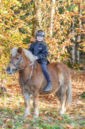 Photo n°11 de Ecuries de la Paulniere à Loches (Centre équestre)