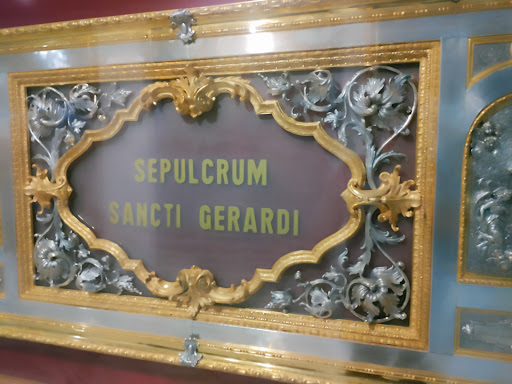 Museo Gerardino - Thumbnail