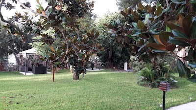Photos of Hotel Villa Morgana