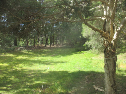 Dirlton Reserve Dog Off Leash Area - Thumbnail