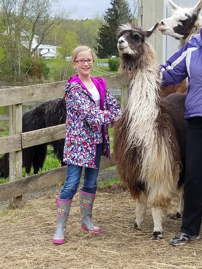 Dakota Ridge Farm