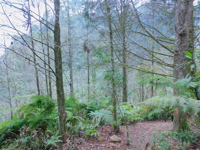 Photos of Cascada Puxtla