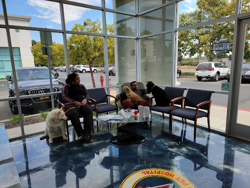 United Pet Hospital