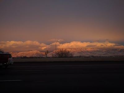 American Fork Lion