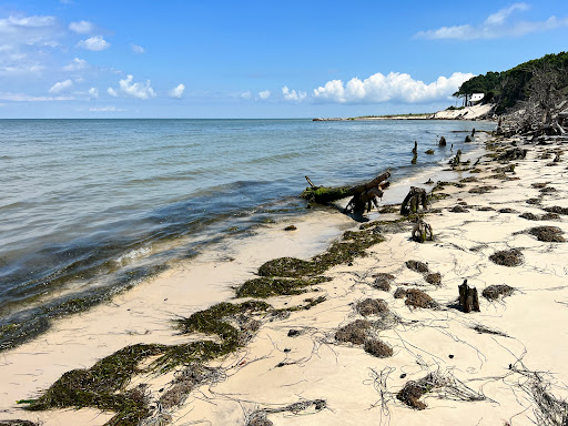Savage Neck Dunes Natural Area Preserve - Thumbnail