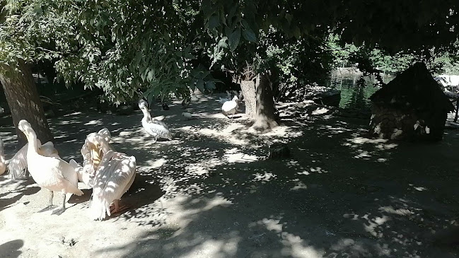 Opinii despre Зоологическа градина Варна în Варна - Детска градина