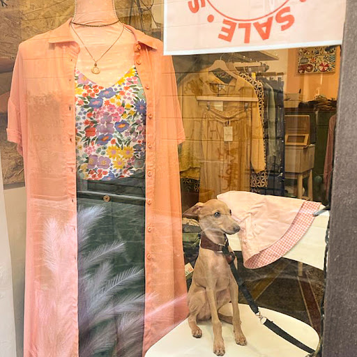 Ginger Ale store - Visual