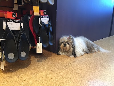 Photos of Birkenstock
