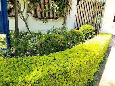 Photos of Siem Reap Rooms Guesthouse