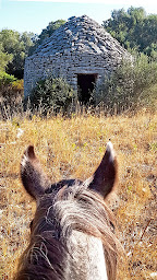 Photo n°38 de EQUI'LIBRE - Balades à cheval à Bonifacio , balades à poney à Bonifacio (Centre équestre)