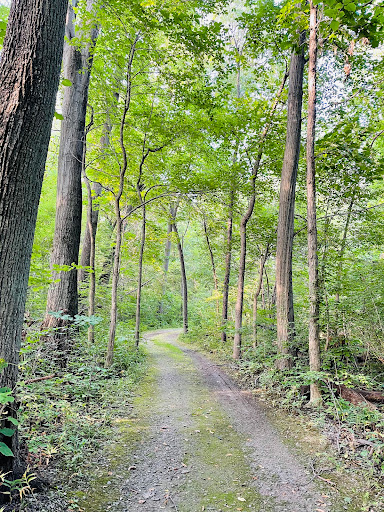 Lyon Oaks County Park - Thumbnail