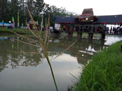 Photos of Bumi Perkemahan Serut